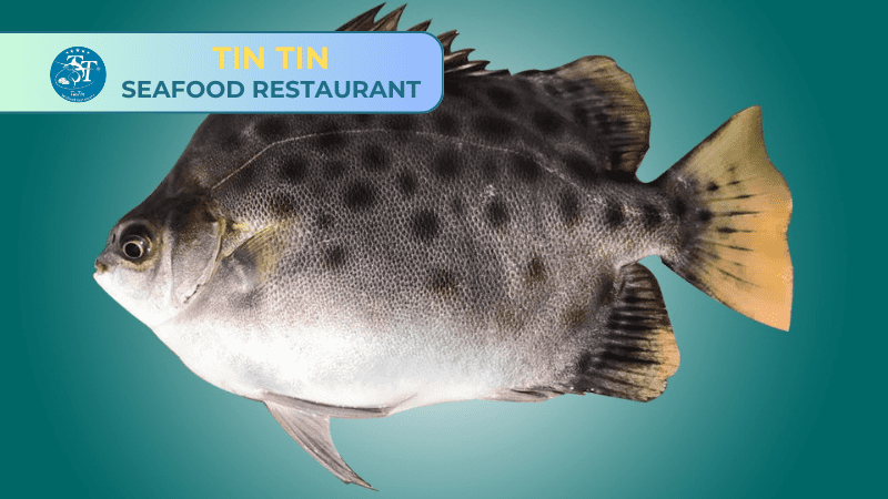 Chế biến cá nâu kho tiêu