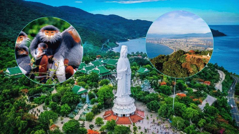 Bán Đảo Sơn Trà