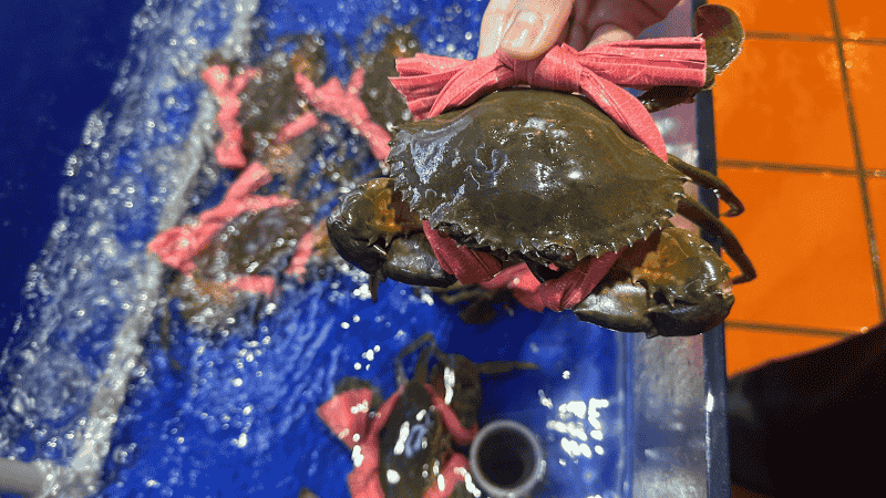 Cua Thịt Đà Nẵng