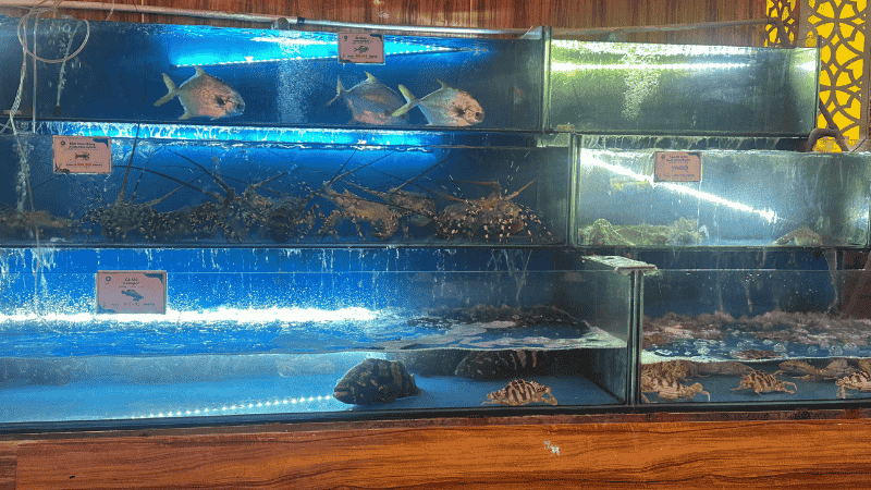 Bể hải sản TinTin Seafood