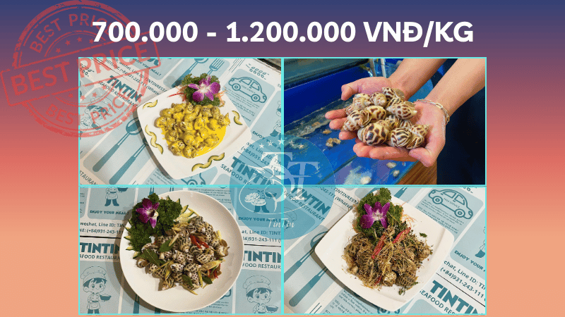 Giá ốc hươngĐà Nẵng