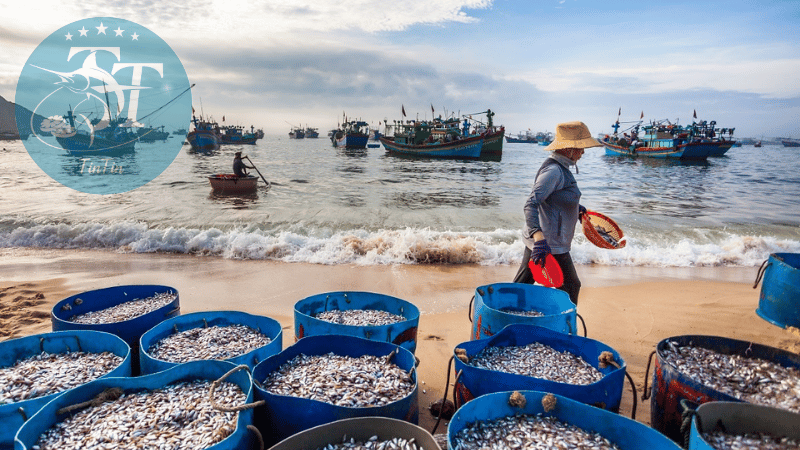 Hải sản đà nẵng
