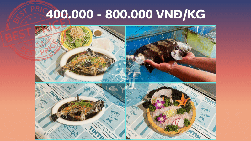 Giá cá mú Đà Nẵng
