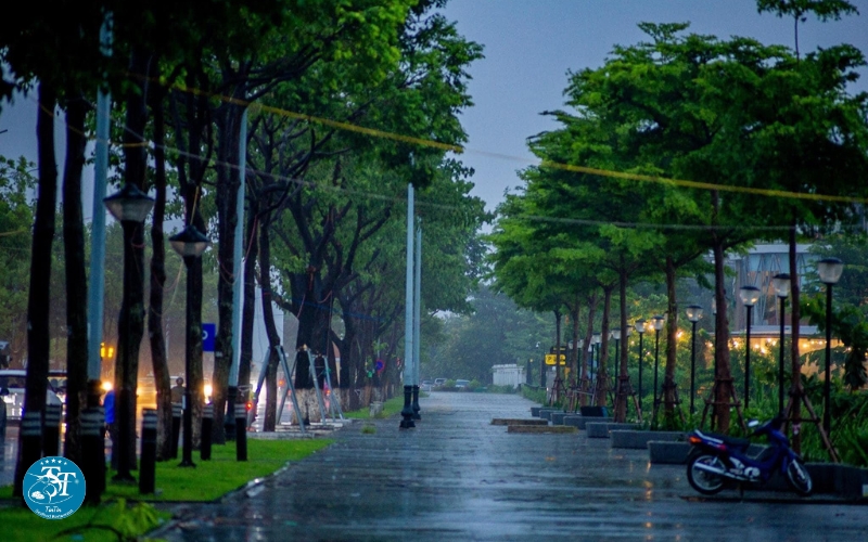 Mùa mưa ở Đà Nẵng